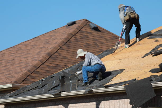 Best Roofing for New Construction  in Cayce, SC