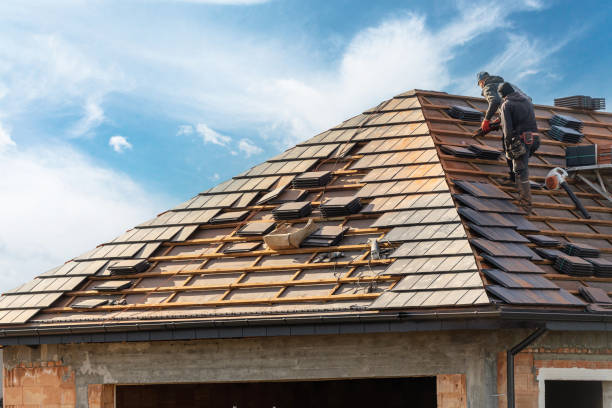 Best Asphalt Shingle Roofing  in Cayce, SC